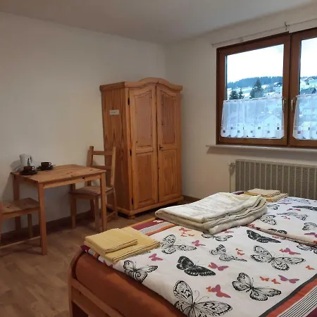 Haus Waldeck Apartment Furtwangen Exterior photo